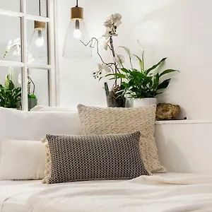 Trastevere Gem Cozy Light-filled Retreat , Rome Italy